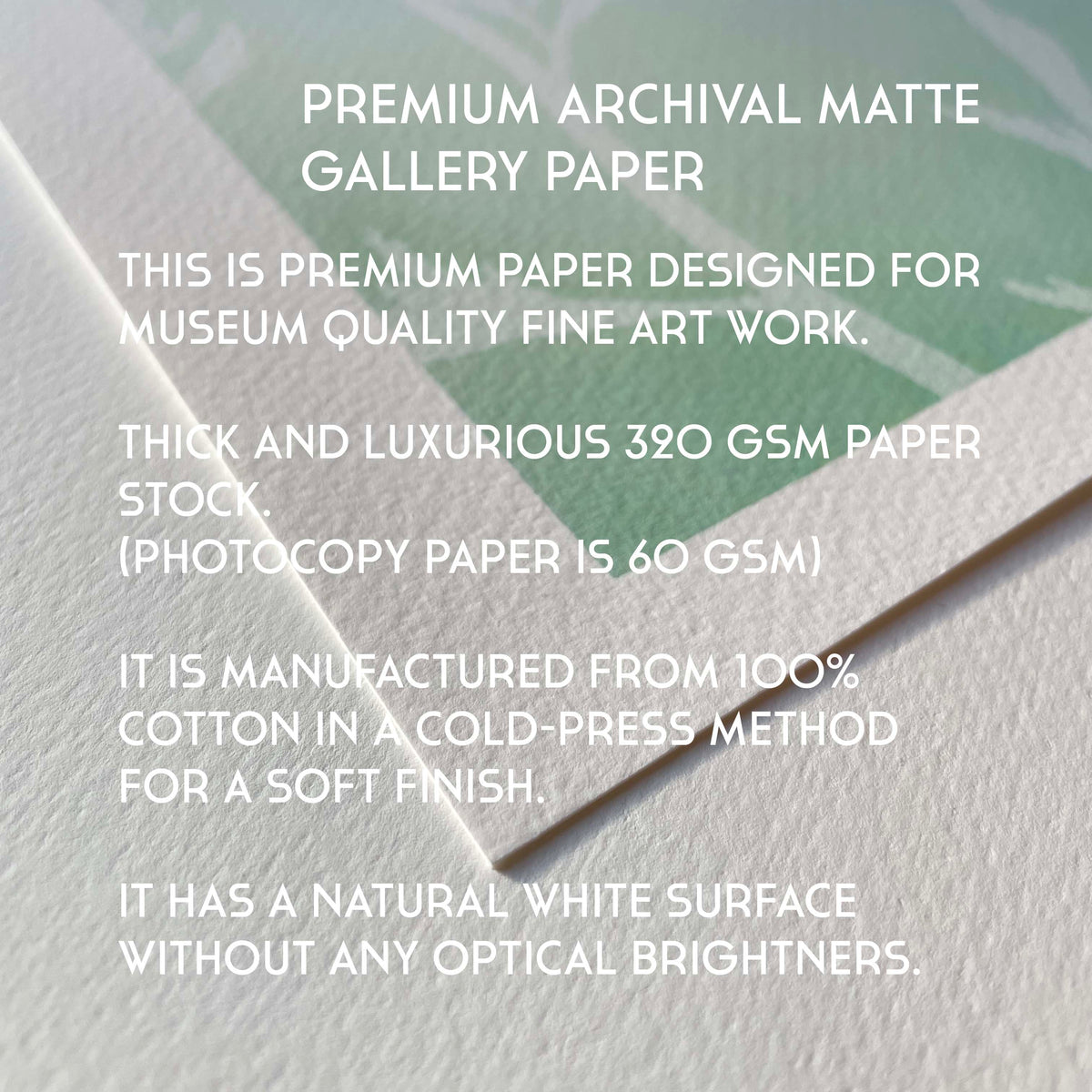 Premium archival matte gallery paper with text describing its features.