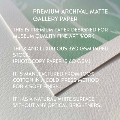 Premium archival matte gallery paper with text describing its features.